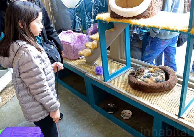 Meow Parlour, NYC's First Cat Cafe, cat cafe nyc, nyc cat cafe, cat cafes, new york cat cafe, cat cafe in new york, cool cafe new york, cats new york, Christina Ha, Emilie Legrand