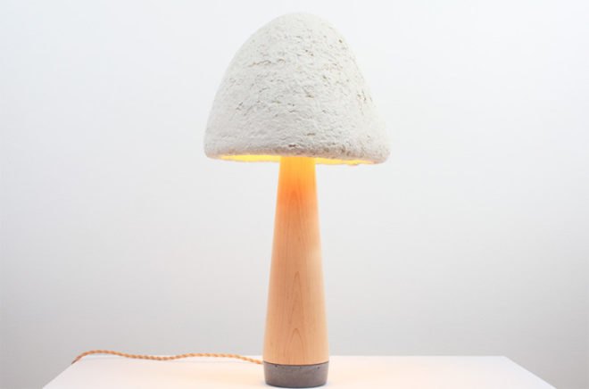 Ecovative Design mushrooms, Ecovative Design mushroom packaging, compostable products, compostable packaging, compostable material, compostable packaging material, mushroom based packaging material, compostable mushroom packaging, Ecovative Design, green products nyc,