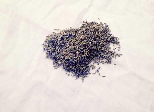 green design, eco design, sustainable design , herbal tea, DIY tea, Ginger Turmeric Tea, Lavender tea, Lemon Tea, Nettle Cinnamon Herbal Tea, Rose and Black Tea, stomach soother tea, DIY gifts