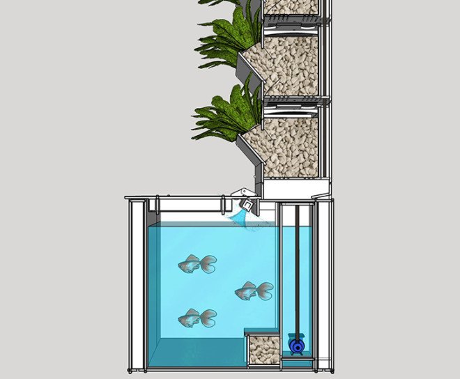 Aquaponics, Lettuce Evolve, Hydroponics, Aquaculture, Grow your own, Vertical farming, chemical free, compact garden
