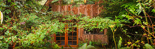 Brian Schulz, Japanese Forest House, tiny home, wooden shelter, woodland dwelling, Japanese inspired home, salvaged wood, Tiny Homes, Eco Travel, Recycled Materials, green Interiors