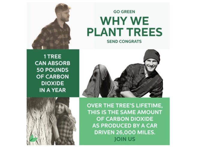 Congrats, congrats, congratulations, card, cards, greeting cards, holiday card, holiday cards, video card, gifting app, gifting card, app, apps, eco-friendly app, tree-planting app, tree app, tree planting, planting trees, tree, trees, plant a tree, clearcut, replenishing forests, replanting forests, replanting trees, plant a tree, plant a tree app, tree greeting app, greeting app, smartphone app, smartphone tree app