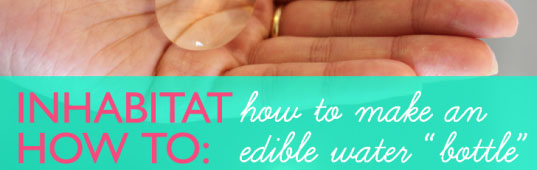 edible water bottle, how to make an edible water bottle, diy water bottle, homemade water bottle, home made water bottle