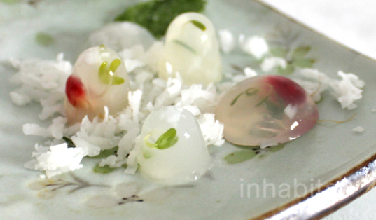 edible terrarium, terrariums, edible slow globe, diy snow globe, holiday desserts, unique dessert, cool dessert, diy snow globe, inhabitat diy, yuka yoneda, how to make an edible terrarium