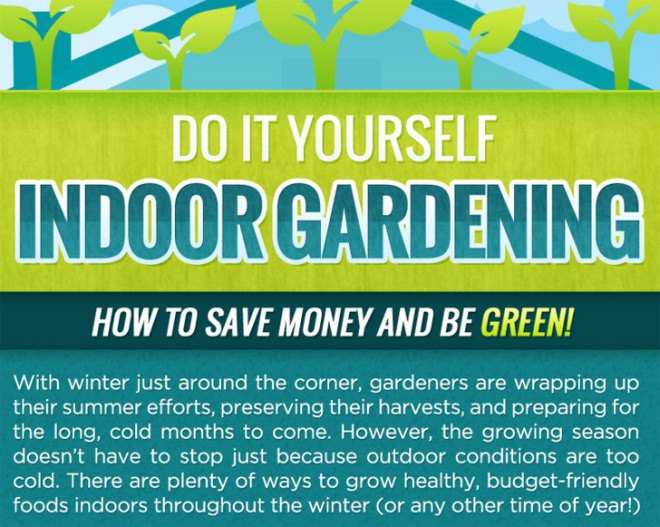 Infographic, infographic, gardening, garden, gardening indoors, indoor gardening