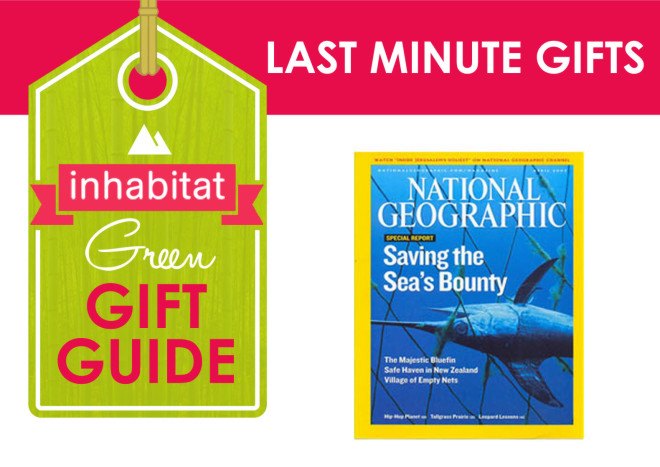 green holiday, green gift guide, green holiday gift guide, eco holiday, green xmas, green christmas, eco xmas, eco christmas, environmentally friendly gifts, eco friendly gifts, green presents, environmentally friendly presents, eco friendly presents, last minute gifts, last minute presents, magazine subscription, wine subscription, recipe in a jar, DIY lip balm, local membership, pancakes, home improvement, overnight pickles, pickle recipe, memory slideshow, homemade pesto, secret family recipe, chore book