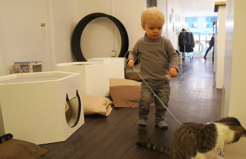 Kitties and Toddlers, Meow Parlour, Cat Cafe, NYC First Cat cafe, Toddlers and cats, Toddlers and Kitties