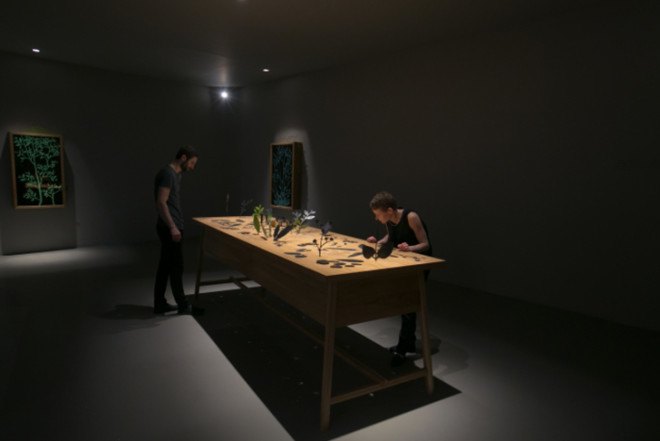 Mischer'Traxler, blooming interactive installation, Ephemerā, Perrier-Jouët, interactive plants, Design Miami, Design Academy of Eindhoven