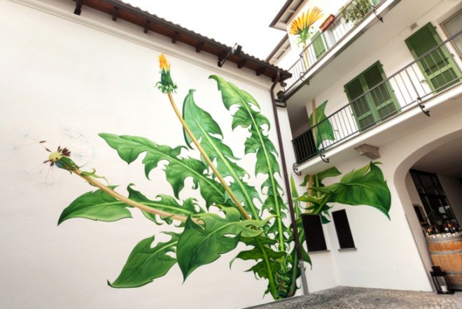 Mona Caron, weeds paintings, weeds murals, dandelions, stinging nettles, weeds' resilience, urban art