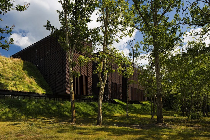 Mont-de-Marsan, Marjan Hessamfar, Joe V&eacute;rons, France, forest, wood-clad building, locally sourced wood, timber building, timber volumes, natural light, cantilever, artificial turf, artificial grass