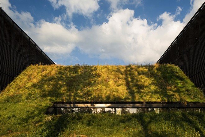 Mont-de-Marsan, Marjan Hessamfar, Joe Vérons, France, forest, wood-clad building, locally sourced wood, timber building, timber volumes, natural light, cantilever, artificial turf, artificial grass