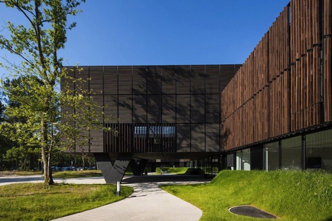 Mont-de-Marsan, Marjan Hessamfar, Joe Vérons, France, forest, wood-clad building, locally sourced wood, timber building, timber volumes, natural light, cantilever, artificial turf, artificial grass