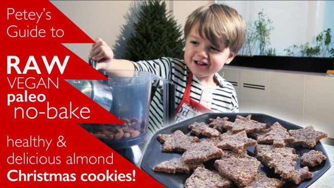 raw paleo cookies, vegan paleo, paleo cookies, how to, cookie recipe, vegan cookies, raw cookies, Ani Phyo recipe, cranberry almond christmas cookies, cranberry almond raw cookies, cranberry almond bars, vegan almond cookies, vegan cranberry almond cookies, raw food recipes, no bake cookies, raw food treats, raw food sweets, raw food snacks, raw food cooke recipes