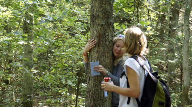 Boom Boom, Studio Toer, The Great Wide Open music festival, tree, soundscapes, Boom Boom project, Vlieland, Netherlands, interactive art installation, interactive forest, art installation