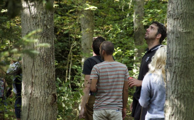 Boom Boom, Studio Toer, The Great Wide Open music festival, tree, soundscapes, Boom Boom project, Vlieland, Netherlands, interactive art installation, interactive forest, art installation
