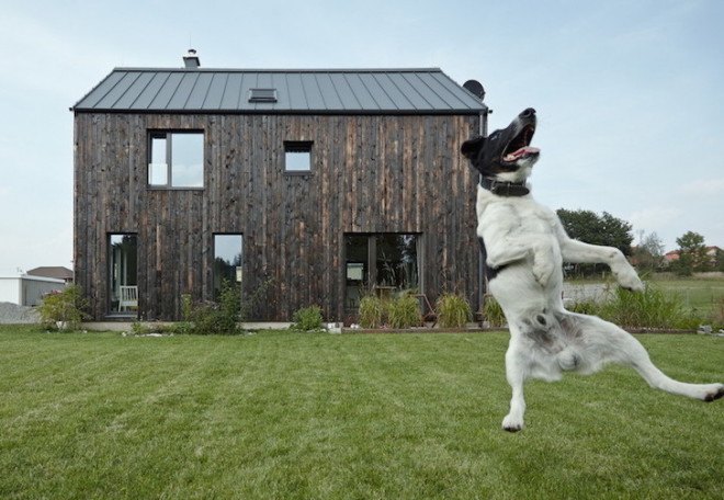 Carbon House, Mjölk Architekti, timber home, timber house, Pyšely, timber facade, charred timber, charred timber plans, timber planks, natural light, whitewashed walls, exposed timber ceiling beams, timber ceiling beams,