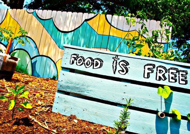 Food is Free Project, food is free, Food is Free, community, community garden, urban farming, urban farm, vegetables, vegetable garden, urban vegetable garden, vegetable seeds, seeds, seed sharing, seed swapping, sharing food,