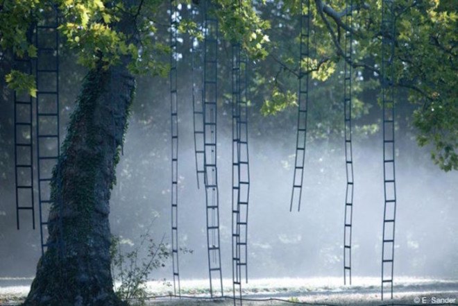 Francois Mechain, L’arbre aux échelles, tree ladders, ladder tree installation