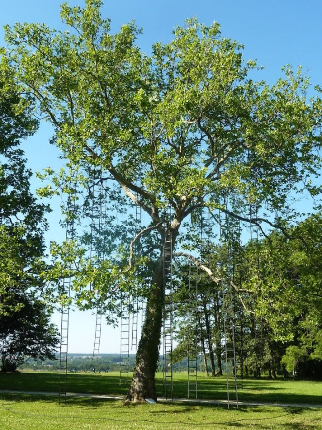 art, art installation, art display, trees, ladders, French, France, park, outdoor art, outdoor spaces, outdoors, L’arbre aux échelles, Francois Mechain