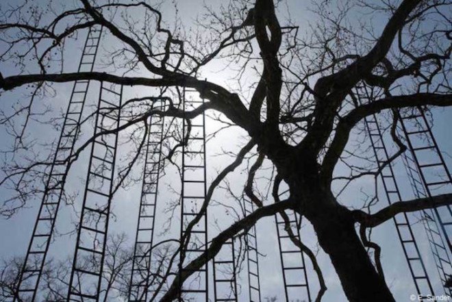 art, art installation, art display, trees, ladders, French, France, park, outdoor art, outdoor spaces, outdoors, L’arbre aux échelles, Francois Mechain