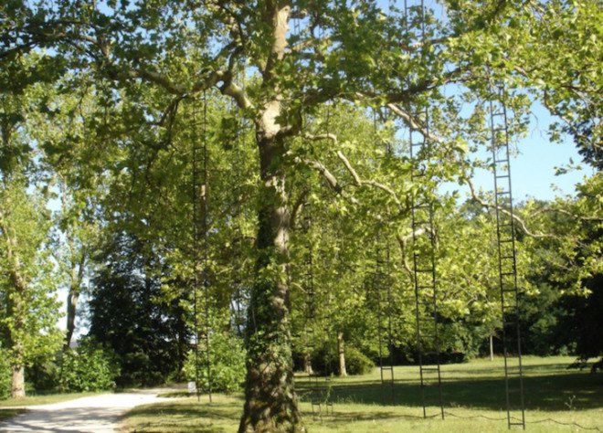 art, art installation, art display, trees, ladders, French, France, park, outdoor art, outdoor spaces, outdoors, L’arbre aux échelles, Francois Mechain