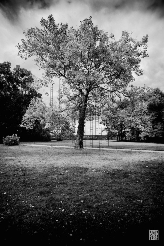 art, art installation, art display, trees, ladders, French, France, park, outdoor art, outdoor spaces, outdoors, L’arbre aux échelles, Francois Mechain