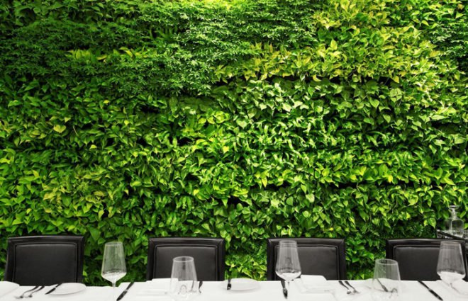 green design, eco design, sustainable design , Hunt & Fish Club NYC, living wall, Iyor Studio, Eyten Sugarman, Roy Nachum, Times Square