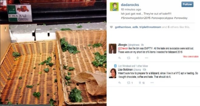 nyc blizzard 2015, polar vortex, off grid living, super snow storm nyc, kale shortage, nyc whole foods, quinoa shortage, kalepocalypse