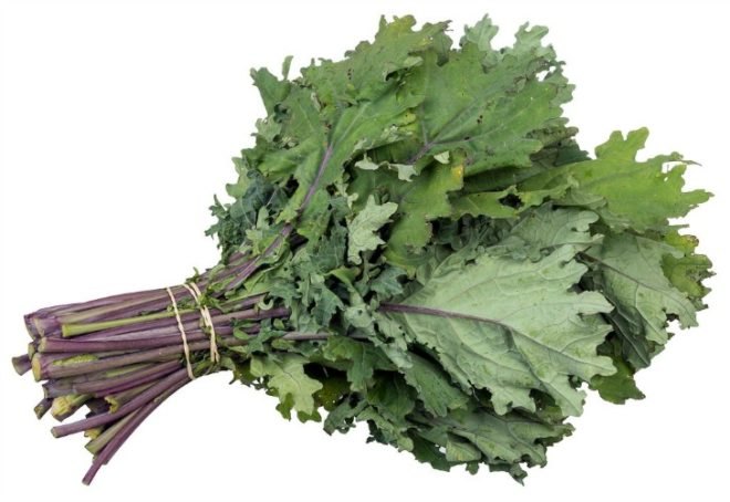nyc blizzard 2015, polar vortex, off grid living, super snow storm nyc, kale shortage, nyc whole foods, quinoa shortage, kalepocalypse