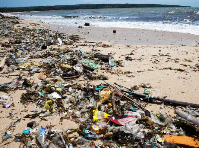 Cash for Containers, recycling kiosks, Australia, Australia recycles, rubbish, cans, bottles, drink containers, beverage containers, cash for recyclables, recycling, bottle recycling,