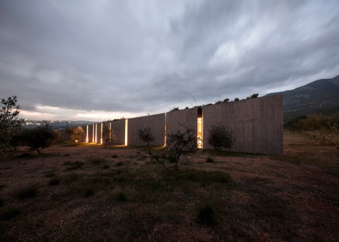Tense Architecture Network, concrete home, residence in Megara, Greece, Greek architects, courtyard, concrete house, glass facade, open-plan living room, olive grove, green architecture