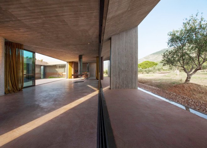 Tense Architecture Network, concrete home, residence in Megara, Greece, Greek architects, courtyard, concrete house, glass facade, open-plan living room, olive grove, green architecture