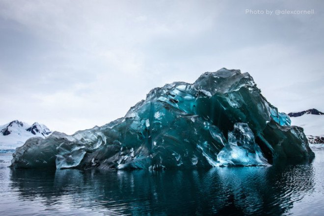 flipped glaciers, glacier flipping, Alex Cornell, antarctica trip, antarctica glaciers, climate change, antarctica climate change, antarctica flipped glacier, blue glacier
