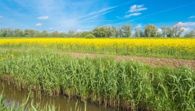 climate change, global warming, biodiversity, endangered, threats, crops, agriculture, farming, food, resources, hunger, United Nations,
