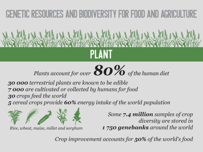 climate change, global warming, biodiversity, endangered, threats, crops, agriculture, farming, food, resources, hunger, United Nations,
