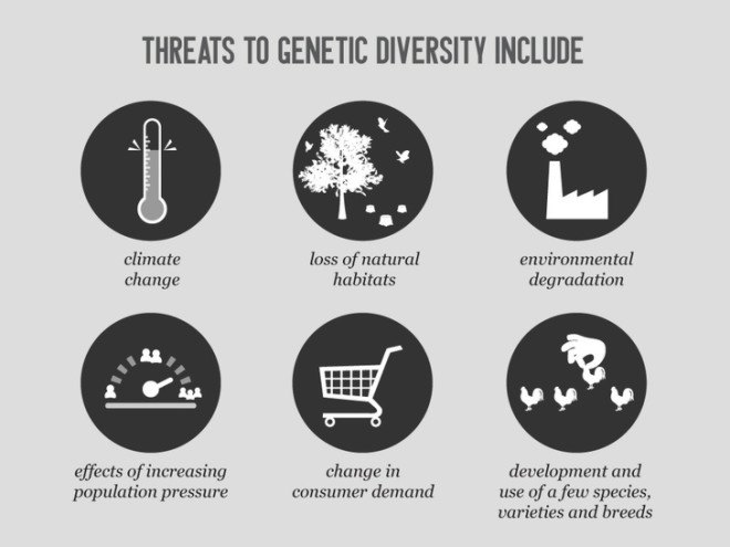 climate change, global warming, biodiversity, endangered, threats, crops, agriculture, farming, food, resources, hunger, United Nations,