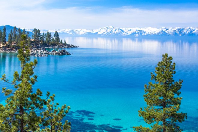 lake tahoe, nevada, pollution, crayfish, crawfish, invasive species, algae, pollution, water pollution, tourism, invertebrates