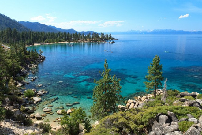 lake tahoe, nevada, pollution, crayfish, crawfish, invasive species, algae, pollution, water pollution, tourism, invertebrates
