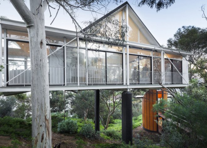 treetop, treehouse, sustainable structure, locally-sourced materials, locally-sourced, wood, tiny, small, architecture, architect, self-designed, self-built, home studio, studio, Max Pritchard