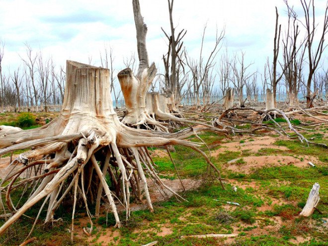 villa epecuen, pablo novak, flooding, argentina, climate change, rainfall, natural disaster
