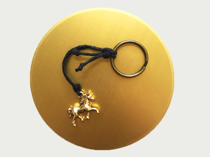 Feng shui keychain, feng shui year of the ram, feng shui, how to feng shui, chinese new year, chinese new year 2015, how to create a holistic space, chinese new year feng shui, how to feng shui your home, angie cho, angie cho feng shui nyc, how to feng shui book, giveaway, feng shui giveaway, contest, inhabitat giveaway, chinese new year giveaway