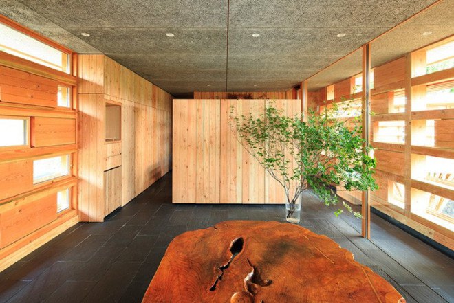 Japanese architecture, Japanese architects, Life Style Koubou, timber home, timber house, House in Itsuura, timber architecture, treehouse, tree house, Japan