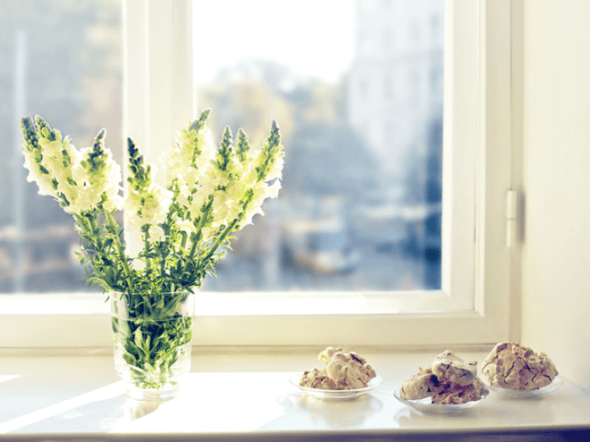feng shui daylighting, lighting audit, natural daylighting, energy-efficient lighting, winter feng shui tips, feng shui cooking, feng shui citrus cleanse, feng shui home tips, easy feng shui, winter feng shui, eco feng shui, eco-friendly feng shui tips, green feng shui, green feng shui tips, feng shui winter cures