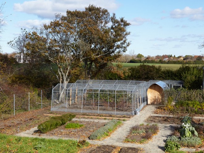 Architecture Research Office, AFO, Sheffer Chicken Coop, East Hampton, chicken coop, coop, natural ventilation, cedar, natural lighting, radiant floor heating, underfloor heating, metal shingles, metal chicken coop