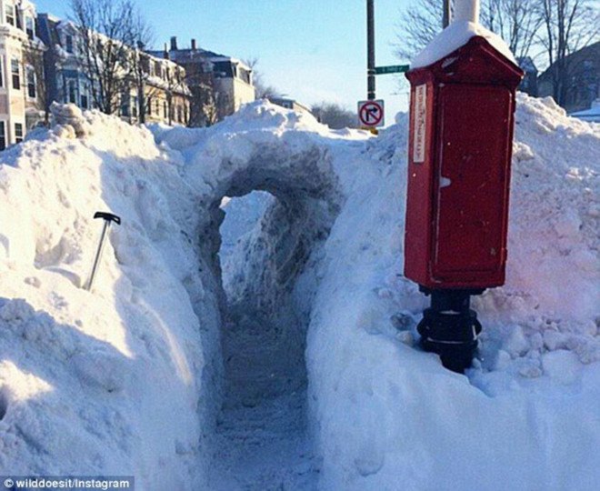Snow tunnel, snow tunnels, digging snow tunnels, 2015 snowfall, tunnels
