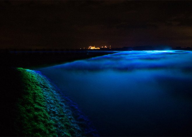 Daan Roosegaarde, light installation, art installation, Waterlicht, aurora borealis, northern lights, LED lights, Dutch artists, the Netherlands
