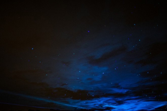 Daan Roosegaarde, light installation, art installation, Waterlicht, aurora borealis, northern lights, LED lights, Dutch artists, the Netherlands