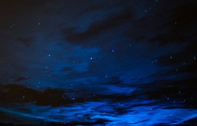 Daan Roosegaarde, light installation, art installation, Waterlicht, aurora borealis, northern lights, LED lights, Dutch artists, the Netherlands