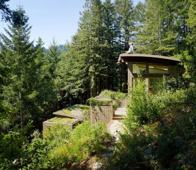 rooftop garden, woodland cabins, california cabins, natural-looking architecture, low-impact construction, cabin art studio, cabin yoga space, cabin guest home, cabin guest room, cabins with natural light