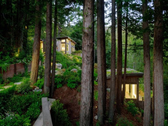 rooftop garden, woodland cabins, california cabins, natural-looking architecture, low-impact construction, cabin art studio, cabin yoga space, cabin guest home, cabin guest room, cabins with natural light